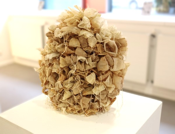 Flowers grow everywhere