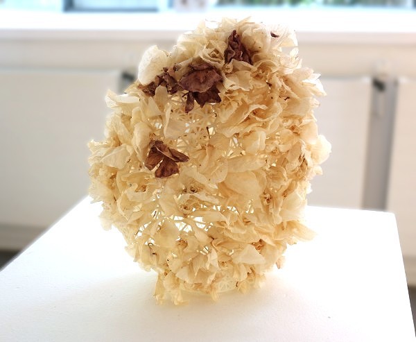 Flowers grow everywhere