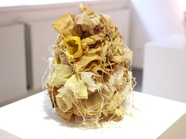 Flowers grow everywhere